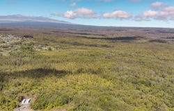 Hilo, HI 96720