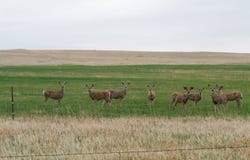 TBD Pioneer School Rd, Merriman, NE 69218
