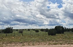 1924 Hutch Road, Heber, AZ 85928