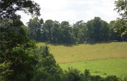 Tbd Glendale Court, Laurel Springs, NC 28644