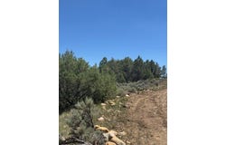 Lot 1 Unit 5, Tierra Amarilla, NM 87575