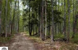 0 Cunningham Road, Kalkaska, MI 49646