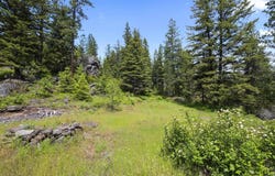685 Blanchard-Elk Rd, Blanchard, ID 83804