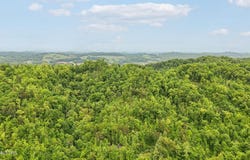 201 Birch Hollow Rd, Maynardville, TN 37807