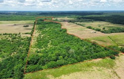 Pine Prairie Rd., Ashdown, AR 71822-0000