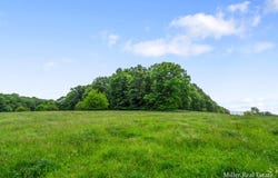 V/L Lammers Road, Delton, MI 49046