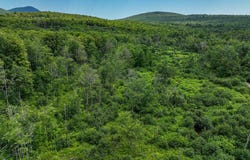 Center Hill Road, Weld, ME 04285
