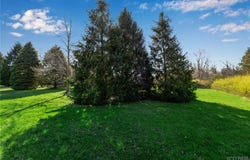 9545 Turnstone Drive, Clarence, NY 14031