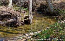 Tract 1 Holbert Cove Road, Mill Spring, NC 28756