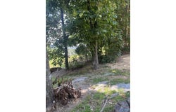 1.12 acres Savory Drive, Scottsboro, AL 35769