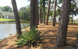 105 N Mallard Court lot: 17, Grandy, NC 27939