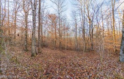 TN-100, Medon, TN 38356