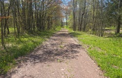 0WP County Rd 10, Norwich, NY 13815
