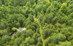 597 Lost Hollow Road, Monticello, KY 42633