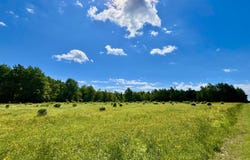 9755 State Route 171, Union Dale, PA 18470