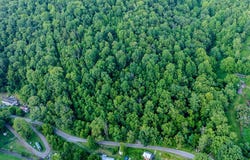 Tbd Dry Fork Road, North Tazewell, VA 24630