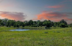 Halamicek Loop, Fayetteville, TX 78940
