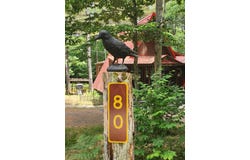 80 Beech Street, Jay, NY 12941