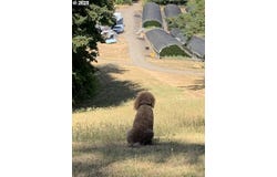 23175 NE RIDGE RD, Gaston, OR 97119