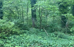 7374 Mossy Drive SW, Carrollton, OH 44615
