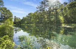 19960 Greenwell Springs Rd, Greenwell Springs, LA 70739