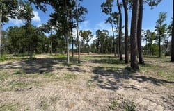 221 Foster Cove, Pineland, TX 75968