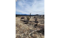 000 E Path, Cotopaxi, CO 81223