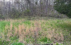 179 WALTERS BRANCH, Williamsport, KY 41271