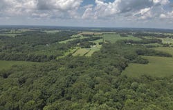 49.59 +/- Acres Snake Road, Athens, AL 35611