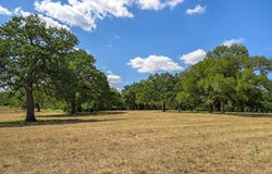 5327 Texas 159, La Grange, TX 78945