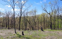 0 Iron Mountain Bluff-Wicks, Arnold, MO 63010