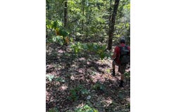 1 Off Bollinger County 908, Unincorporated, MO 63662