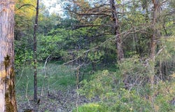 W Greenwood DR, Diamond City, AR 72644