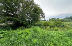11555 78th Avenue, Allendale, MI 49401