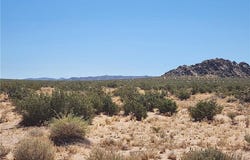 500 Harrod Road, Lucerne Valley, CA 92356