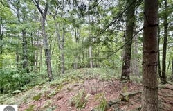 35 Brook Hill Cottages, Glen Arbor, MI 49636