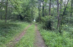 9283 E 250 S, Pierceton, IN 46562