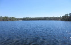 13023 NE 6TH Place, SILVER SPRINGS, FL 34488