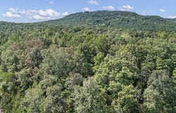 7 Acres Off Quicker Still Lane, Dover, AR 72837