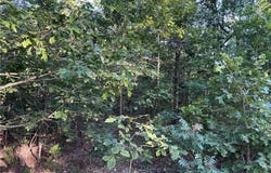 Tract B MC 5056, Everton, AR 72633