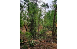 0 S Pittsburg Mountain Road, South Pittsburg, TN 37380