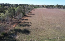 Gulley Ln. lot: 34-Tbd, Salters, SC 29590