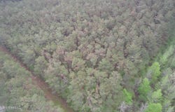 Hester Road, Ackerman, MS 39735