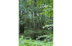65 Blueberry Drive, DEPOSIT, NY 13754