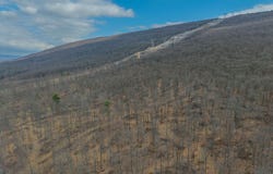 242 BRUSH MOUNTAIN ROAD, ALTOONA, PA 16601