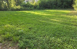 0 BURNS VALLEY ROAD, DOYLESBURG, PA 17219