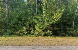 Sunaqua Drive lot: 202, Presque Isle, MI 49777