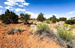 Torrey, UT 84775