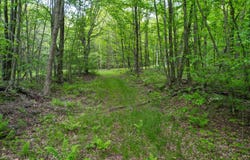 0 Deer Run Rd., Hancock, NY 13783