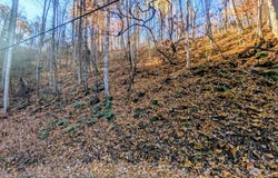 Ridgefield Drive lot: 339, Sevierville, TN 37876